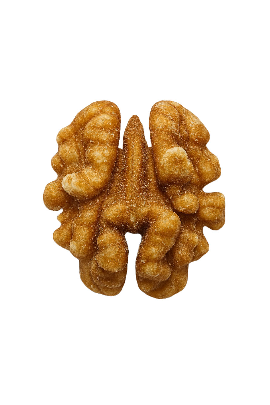 Salted Roasted Walnut - 100g